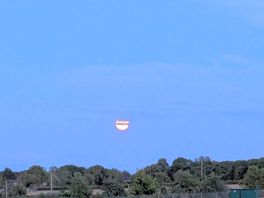 Hot evening moon