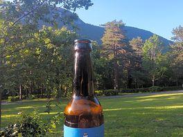 The views, beer