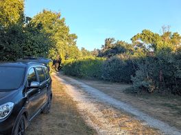 The hedges provided great privacy between the sites