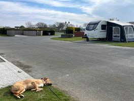 Perfect for families and pet.