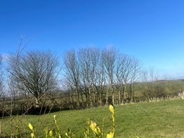 View from my pitch