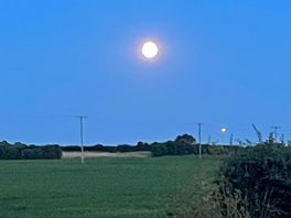Beautiful evening sun