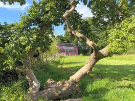 Amazing location on the somerset levels