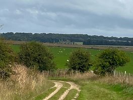 The off road cycle track we took to stonehenge