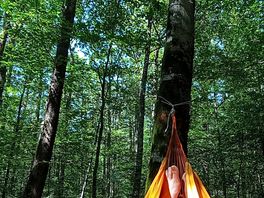 La forêt attenante étend le champ des possibles
