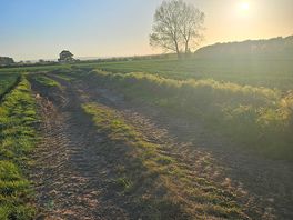Nice walk
