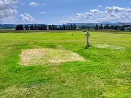 Grass pitches