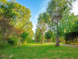 Grass pitches among the trees