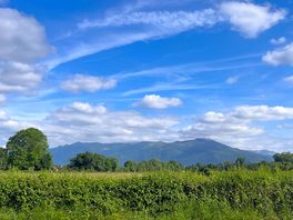 View from campsite