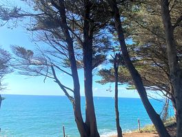 Coast path walk view