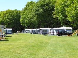 Spacious pitches surrounded by trees