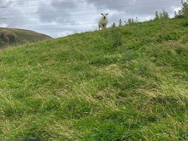 'what are you looking at?'