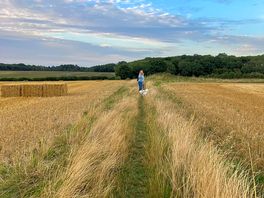 Beautiful walks