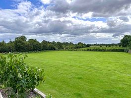Grass pitches