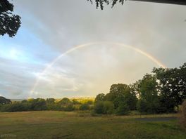 Rainbows provided!!