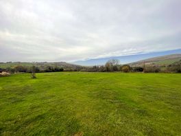 Camping field