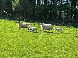 Lovely walks from the campsite
