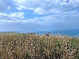The views across the way