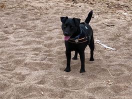 Beach time