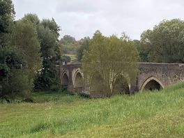 Local walk