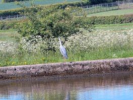 Canal walk by knowle locks