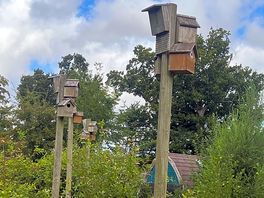 Environment conscious with areas for wildlife.
