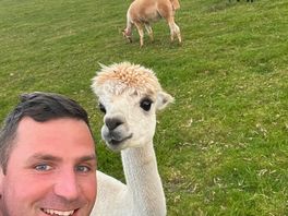 Friendly animals