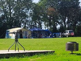 Our pitch
