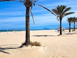 Strand in gandia