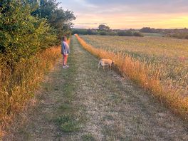 Great walks