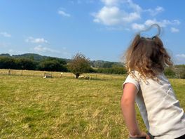 Getting ready to feed the sheep 🐑