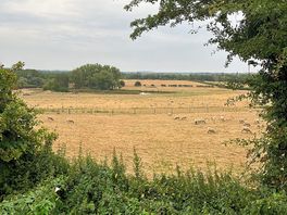 Gorgeous scenery beyond the hedges