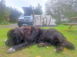 Betty chilling.