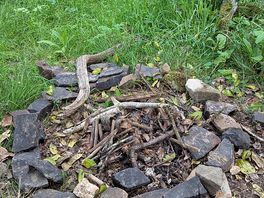 Fire circle in the woods