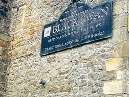 Pub sign