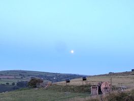 Presque pleine lune.