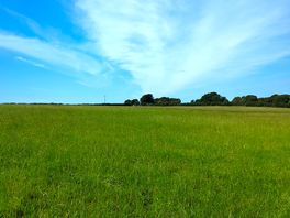 One of the very beautiful views