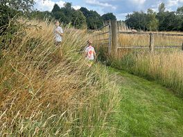 Walk around the site. children loved this.