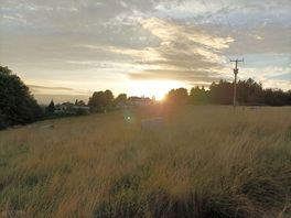 From the hill nearby