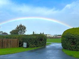 Rainbow over the park