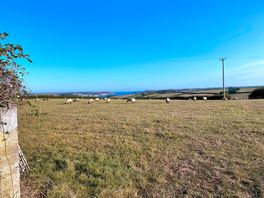 The views on our run.