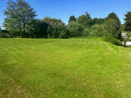 Non-electric pitches