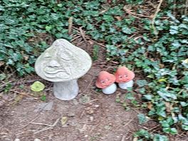 Fairy garden