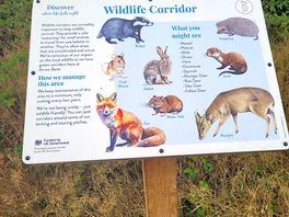 Wildlife