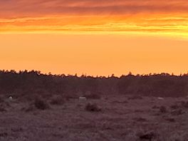 Sun set