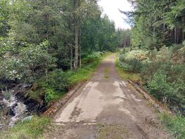 Took this on a walk with my dog's