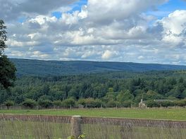 View from site