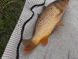 One of my catch