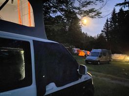 Moonlit night