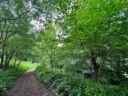 De weg naar de kampeerplek